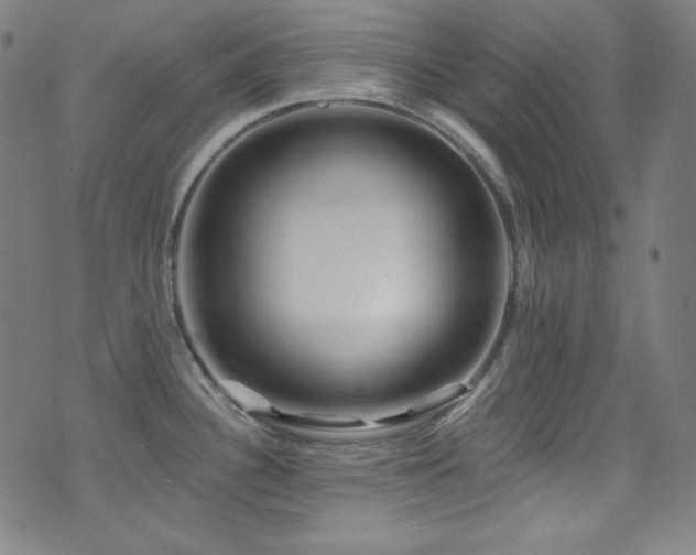 X0000075401340200609081245