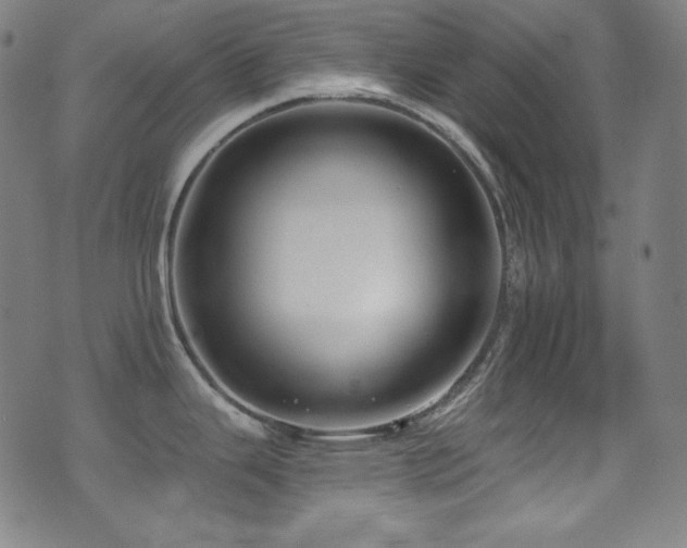 X0000075401343200609081245
