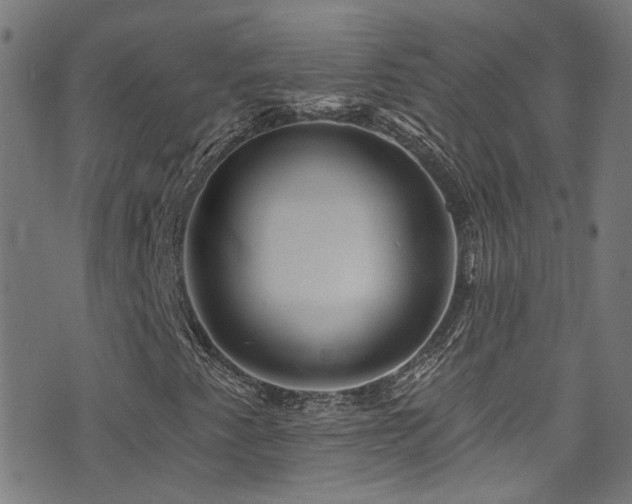 X0000075401345200609081245