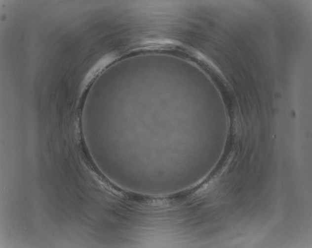 X0000075401362200609081244