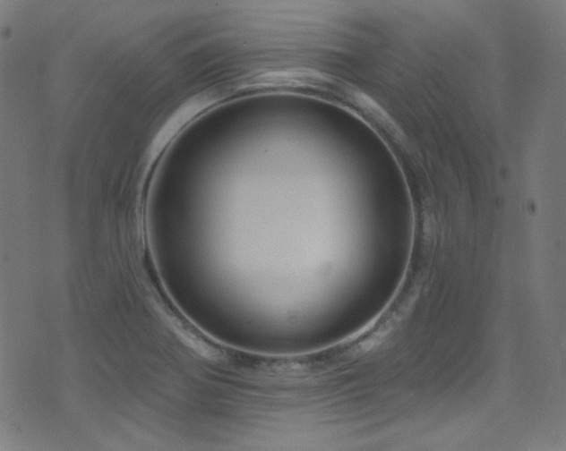 X0000075401370200609081244