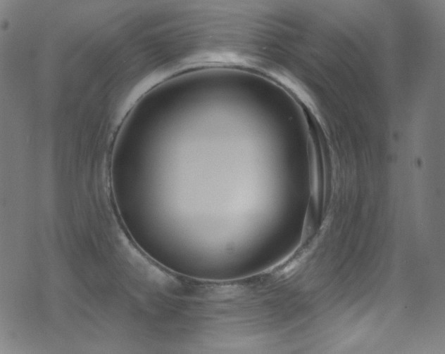 X0000075401382200609081244