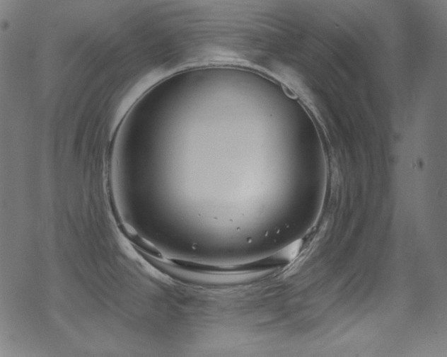X0000075401390200609081244