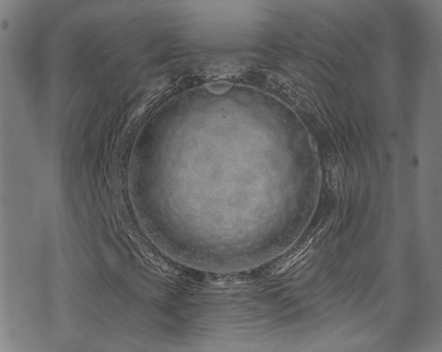 X0000075401393200609081243