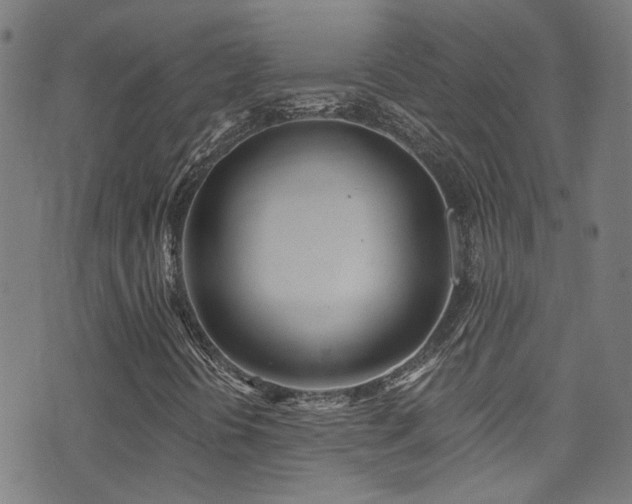 X0000075401394200609081243