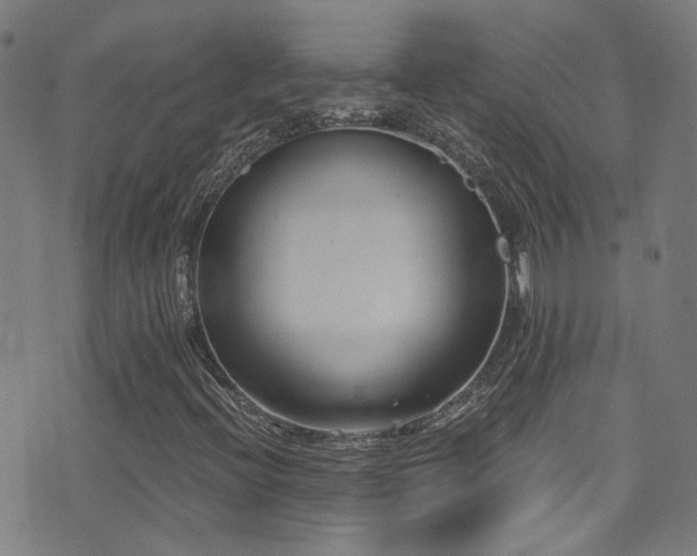 X0000075401396200609081243