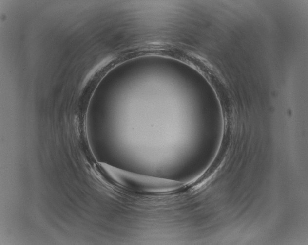 X0000075401402200609081243
