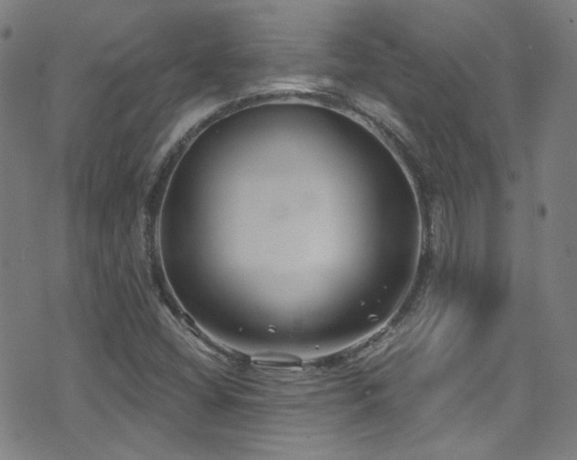 X0000075401404200609081243