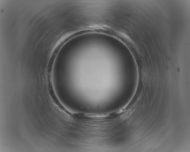 X0000075401412200609081243
