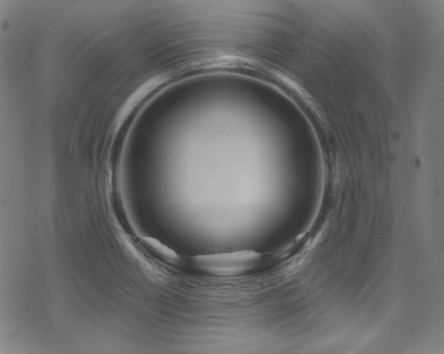 X0000075401418200609081244
