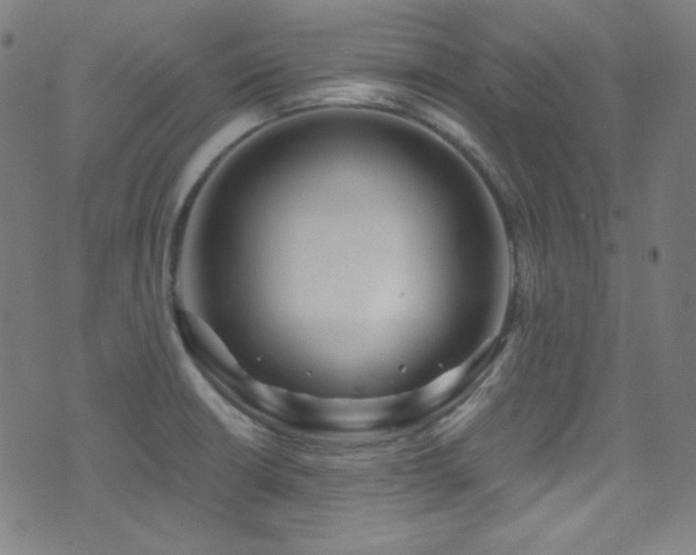 X0000075401426200609081244