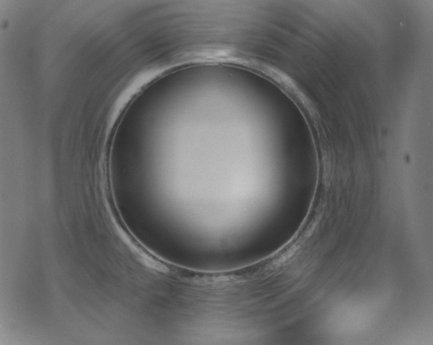 X0000075401432200609081244