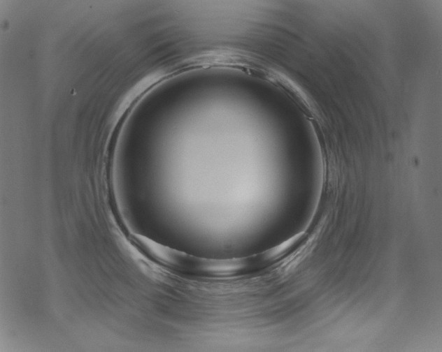 X0000075401434200609081244