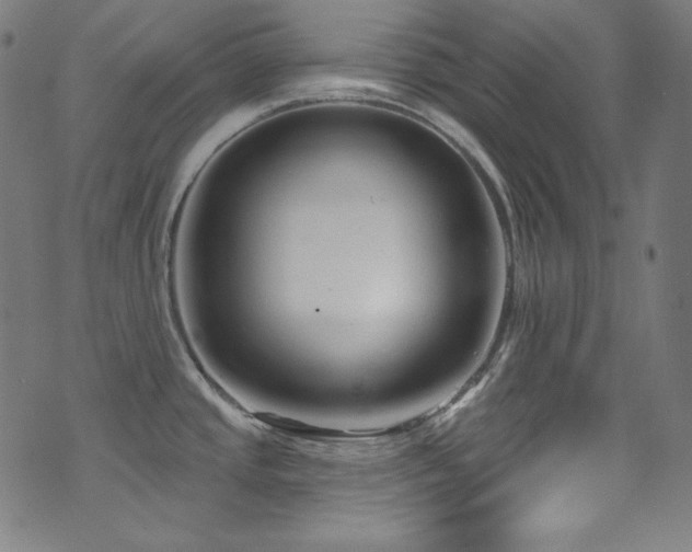 X0000075401437200609081244