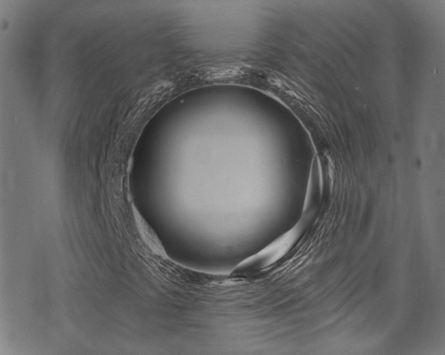 X0000075401441200609081243