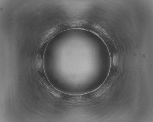 X0000075401444200609081243