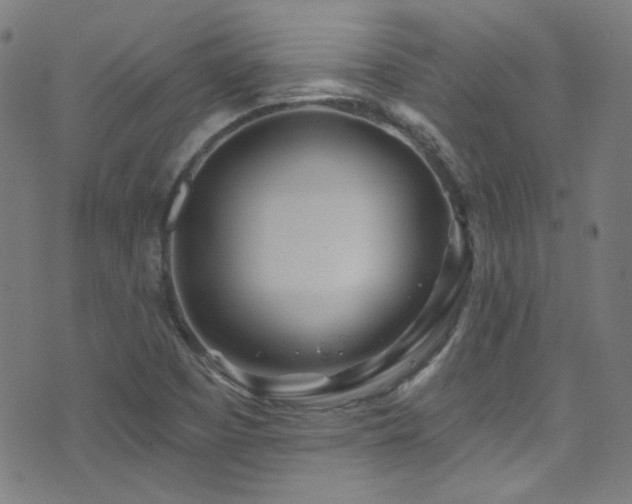 X0000075401457200609081243