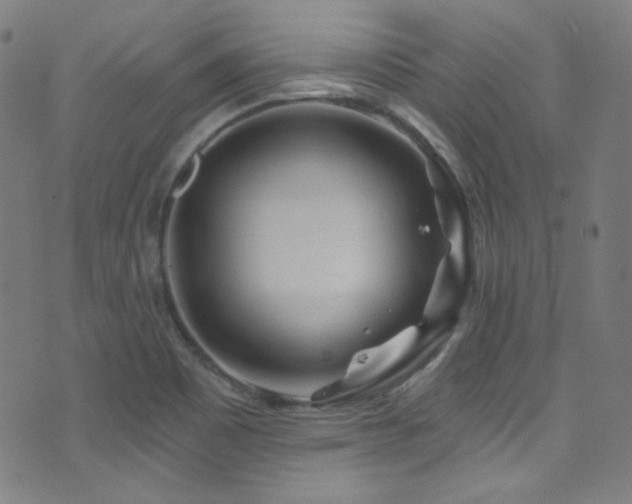 X0000075401465200609081243