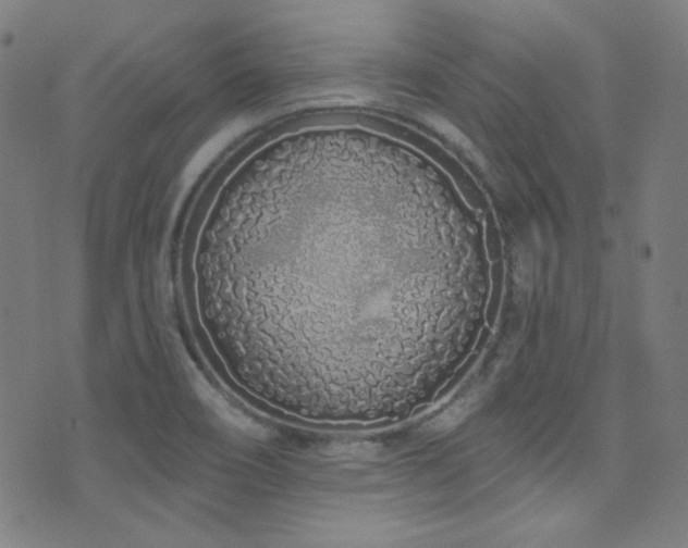 X0000075401466200609081243