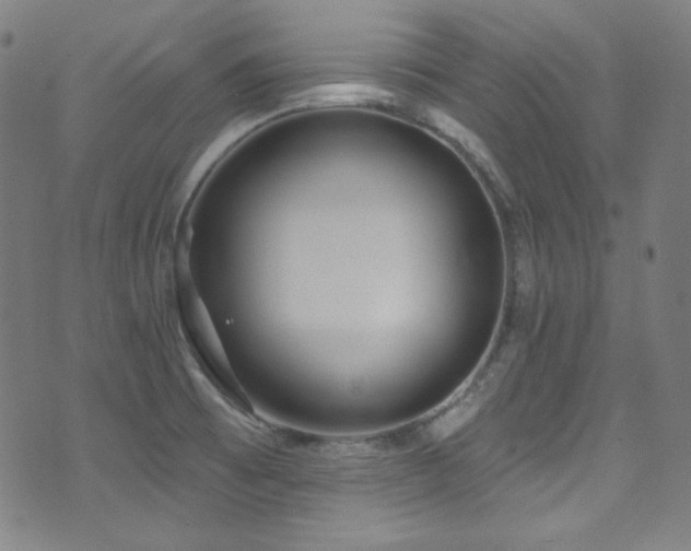 X0000075401473200609081243