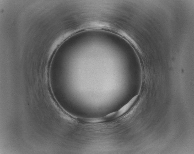 X0000075401477200609081243