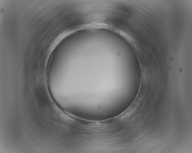 X0000075401478200609081243