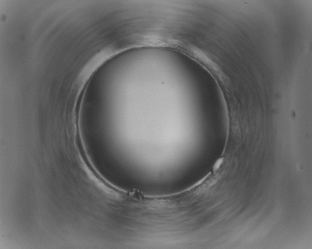 X0000075401479200609081243