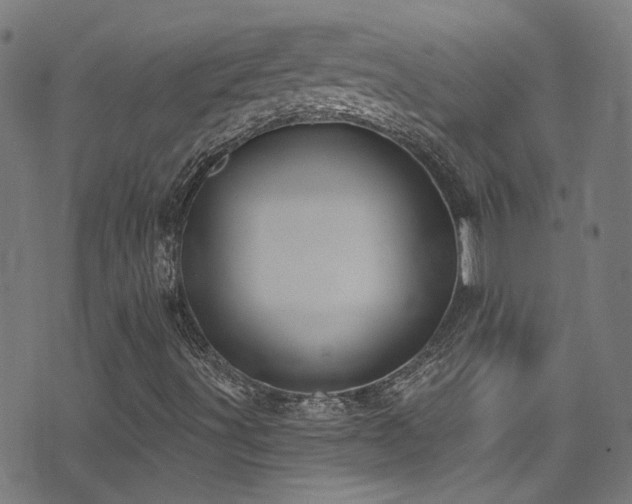 X0000075401491200609081242