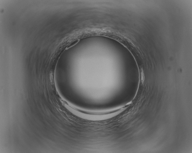 X0000075401492200609081242