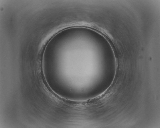 X0000075401504200609081242