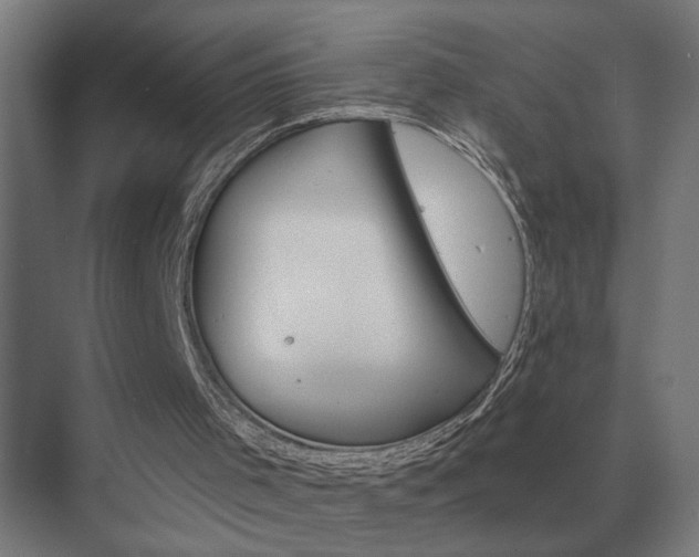 X0000075400001200609151832