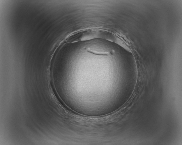 X0000075400002200609151832