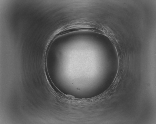 X0000075400003200609151832