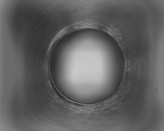 X0000075400004200609151832