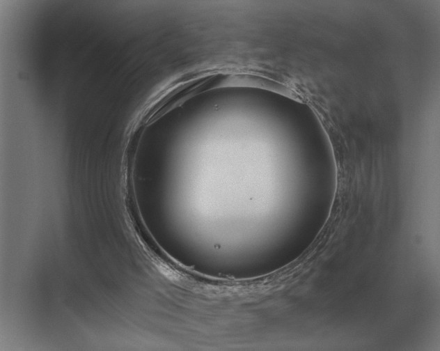 X0000075400005200609151832