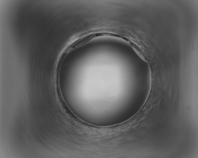 X0000075400006200609151832