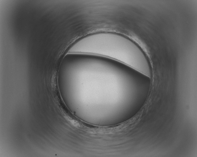 X0000075400009200609151832