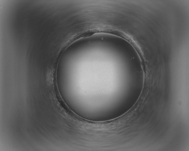 X0000075400010200609151832