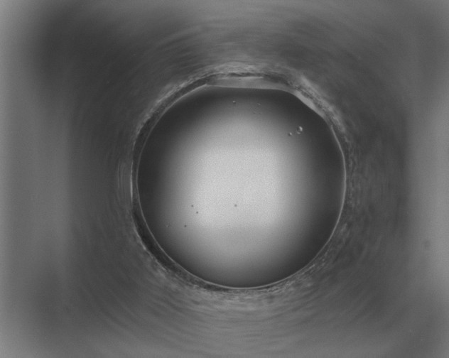 X0000075400011200609151832