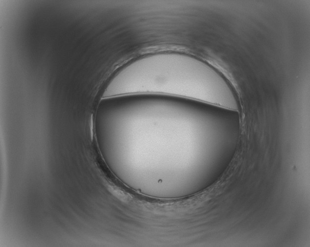 X0000075400013200609151832