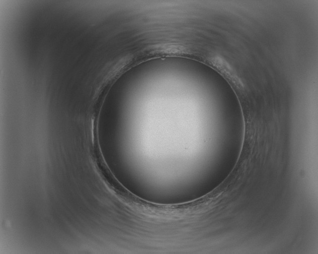 X0000075400014200609151832