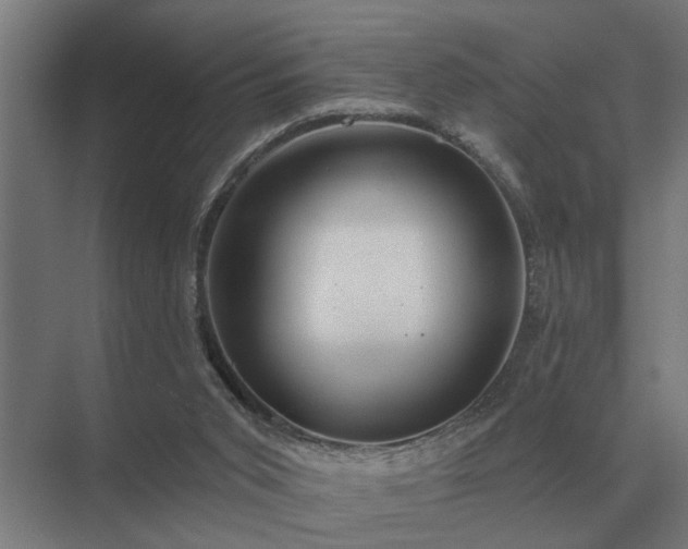 X0000075400015200609151832