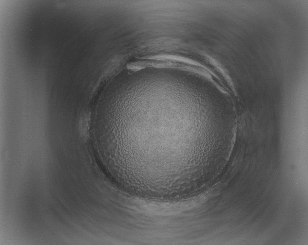 X0000075400018200609151832