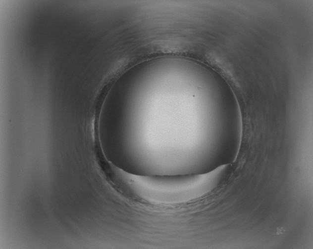 X0000075400019200609151832