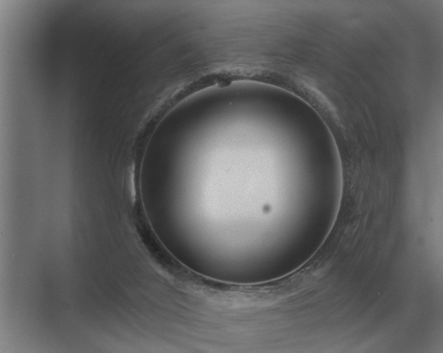 X0000075400020200609151832