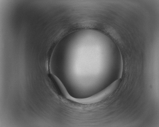 X0000075400021200609151832