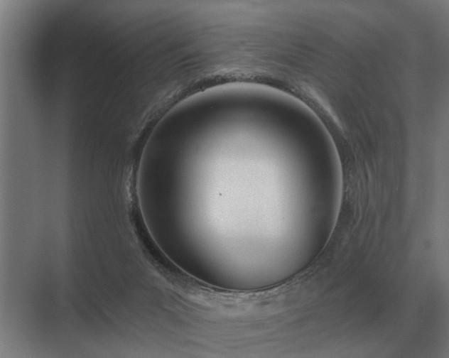 X0000075400023200609151832