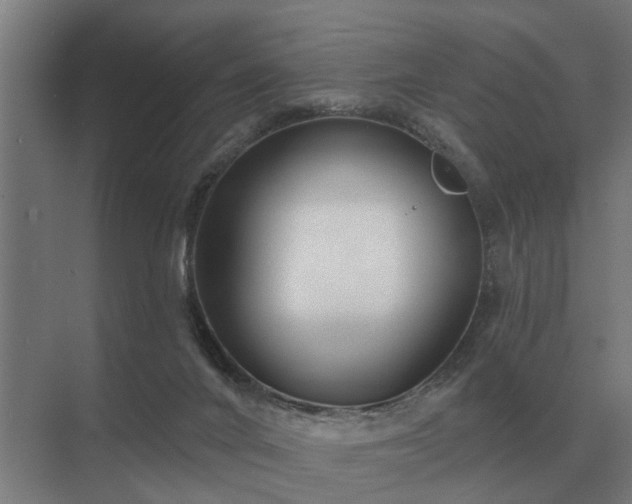 X0000075400024200609151832