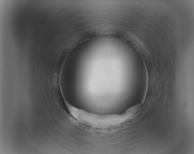 X0000075400025200609151832