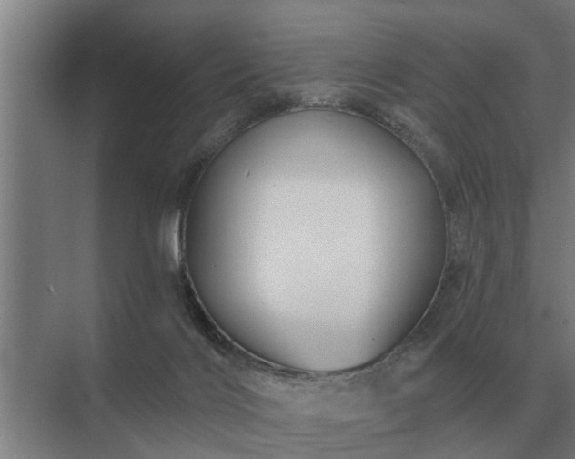 X0000075400028200609151832